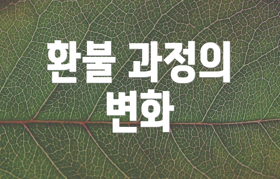 환불 과정의 변화