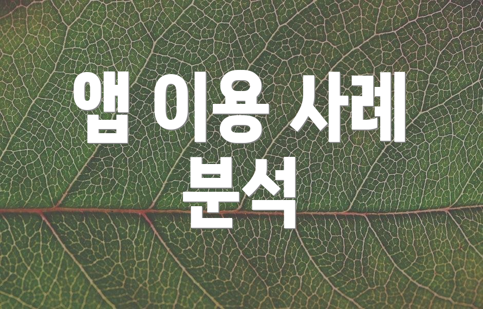 앱 이용 사례 분석