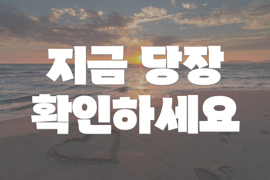 지금 당장 확인하세요
