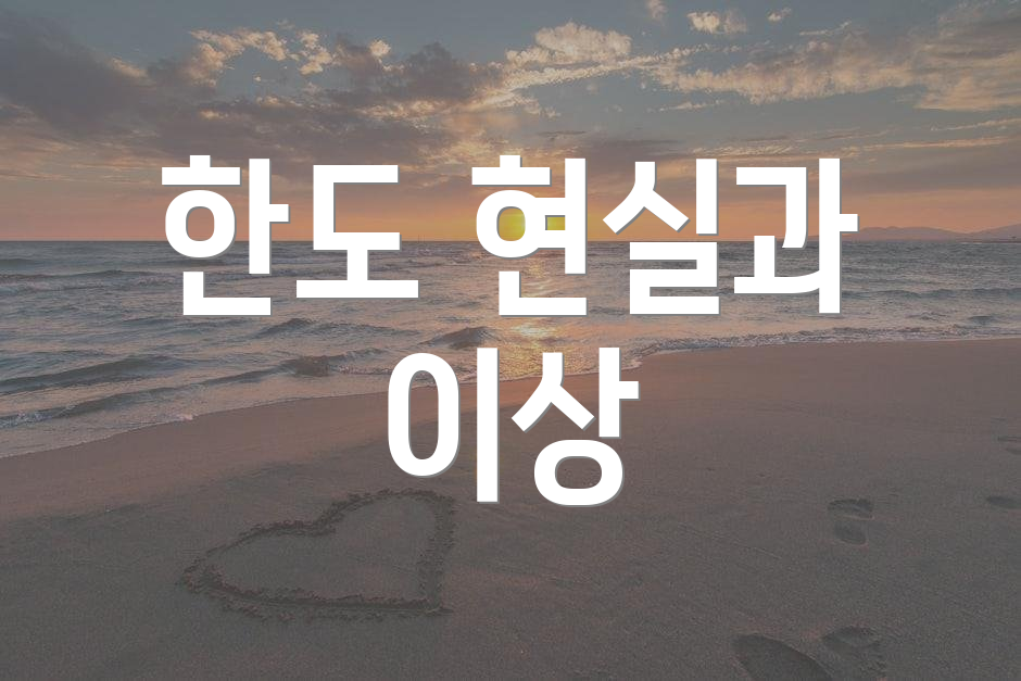 한도 현실과 이상