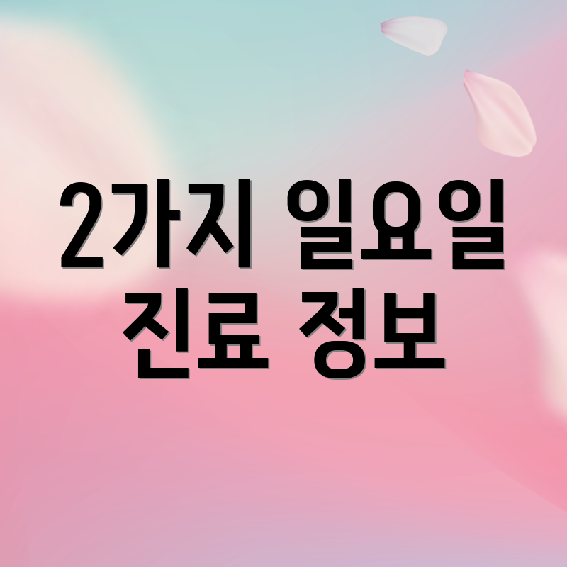 2가지 일요일 진료 정보