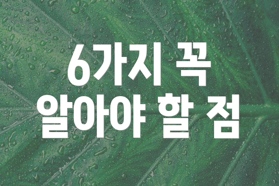 6가지 꼭 알아야 할 점