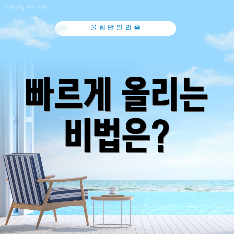 빠르게 올리는 비법은?