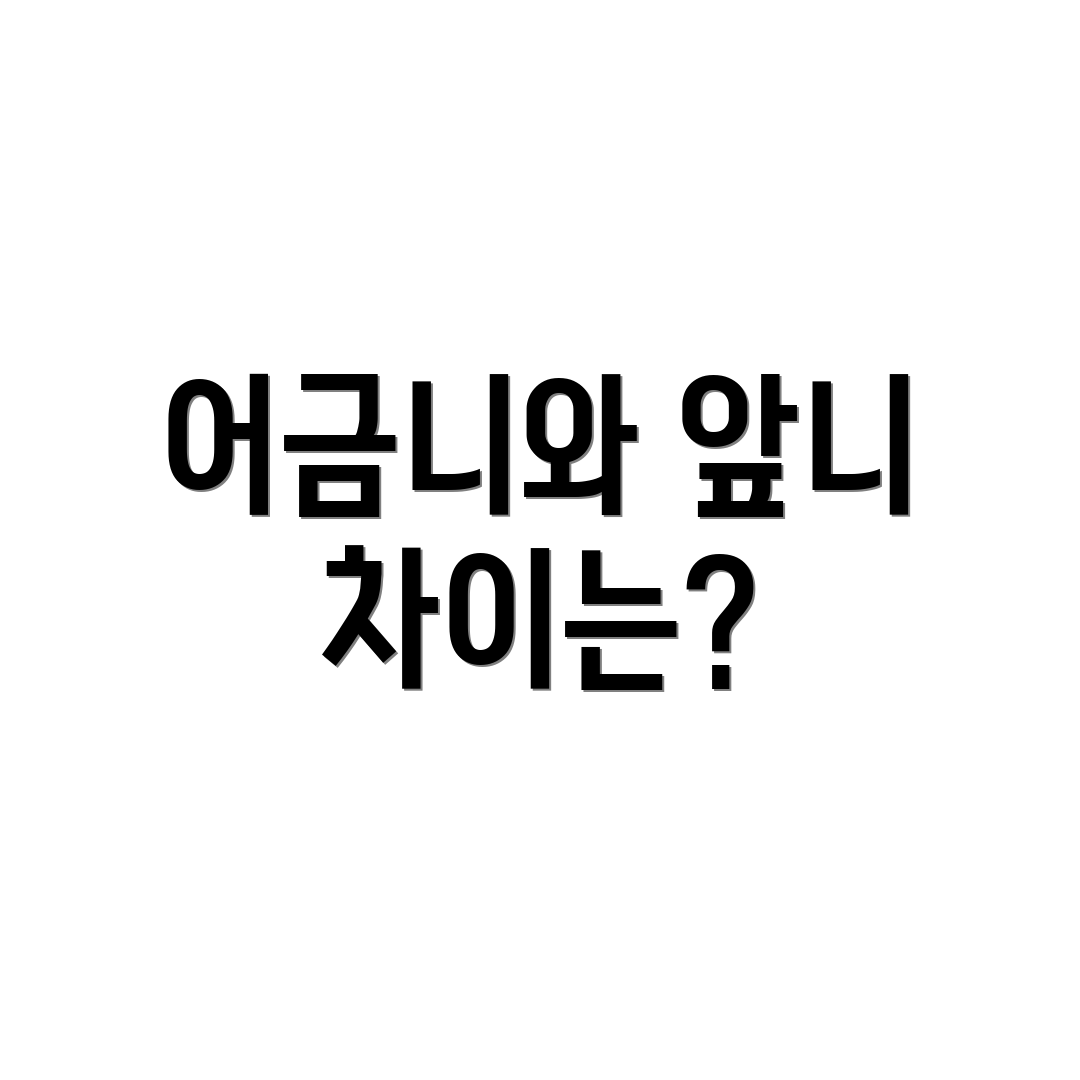 어금니와 앞니 차이는?