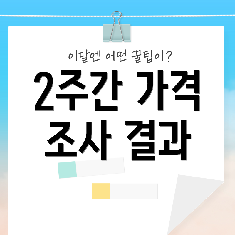 2주간 가격 조사 결과