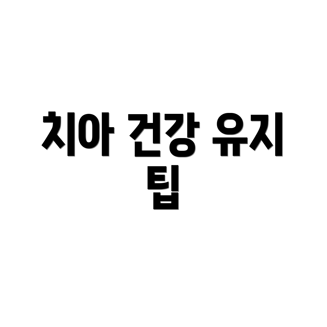 치아 건강 유지 팁