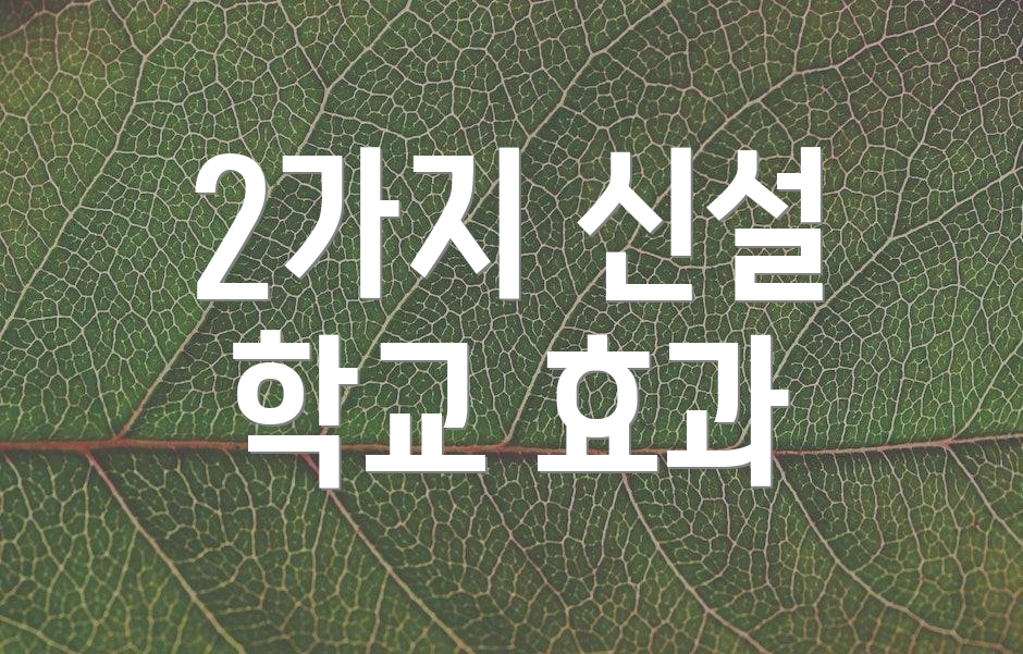 2가지 신설 학교 효과