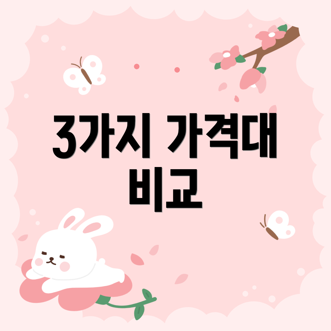 3가지 가격대 비교