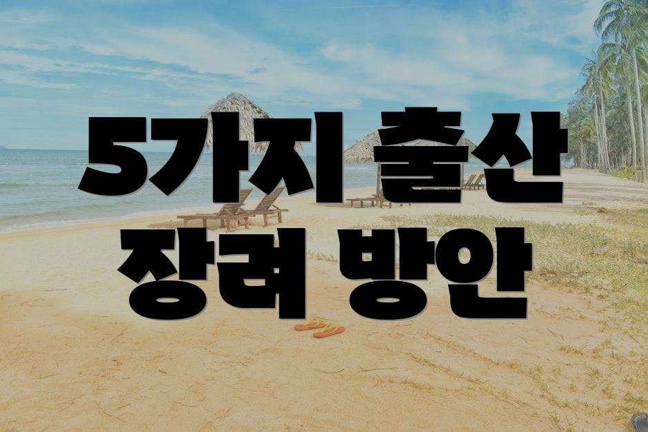 5가지 출산 장려 방안