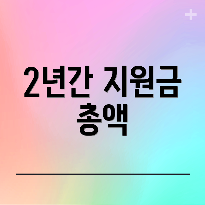 2년간 지원금 총액