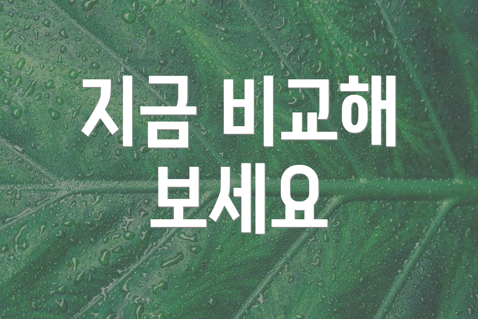 지금 비교해 보세요