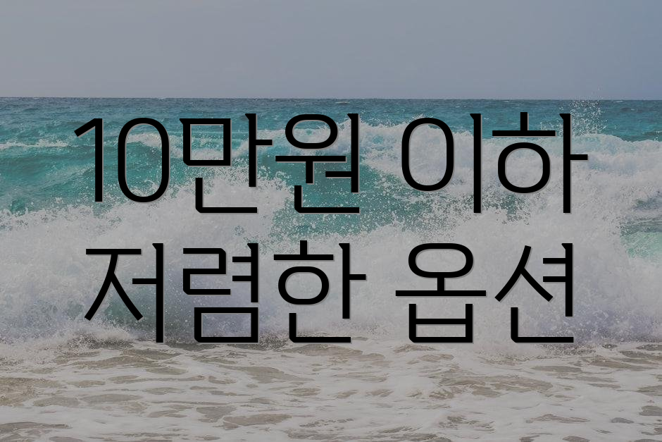 10만원 이하 저렴한 옵션