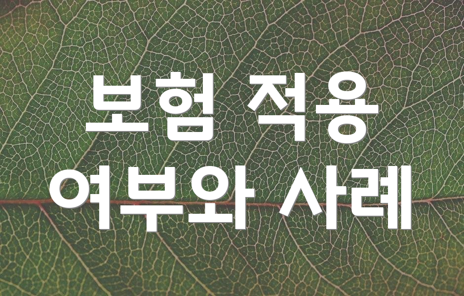 보험 적용 여부와 사례