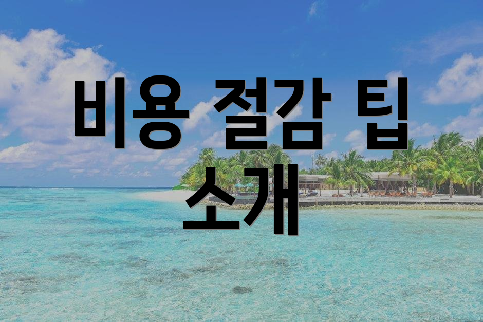 비용 절감 팁 소개