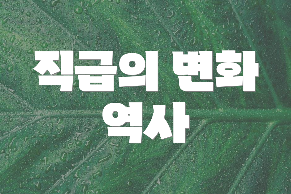 직급의 변화 역사