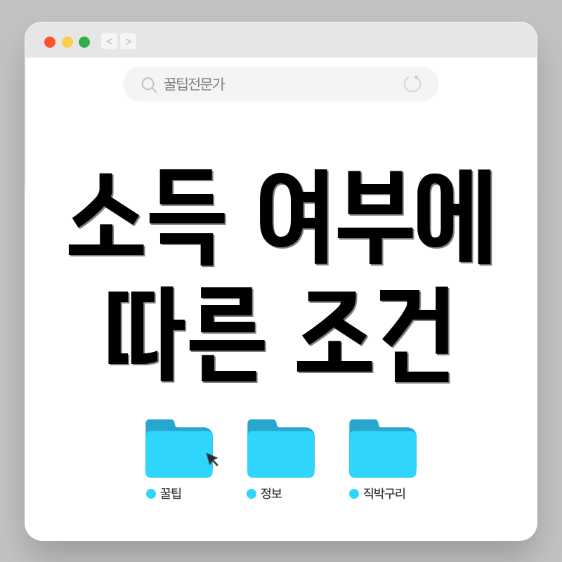 소득 여부에 따른 조건