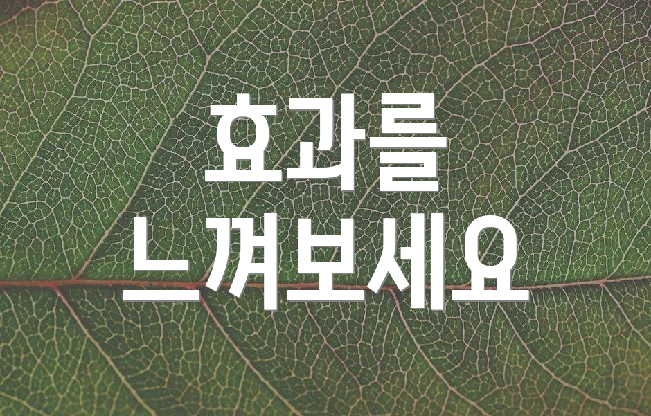 효과를 느껴보세요