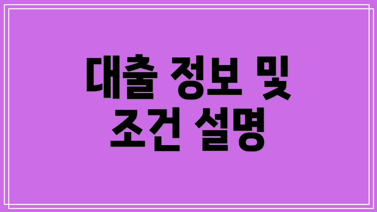 대출 정보 및 조건 설명