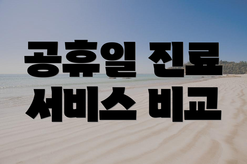 공휴일 진료 서비스 비교