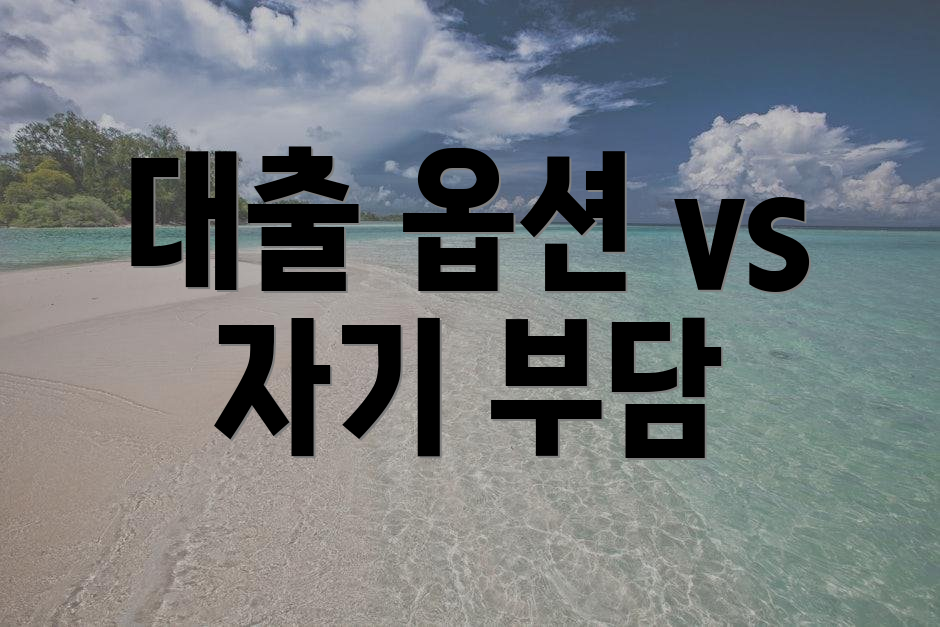 대출 옵션 vs 자기 부담