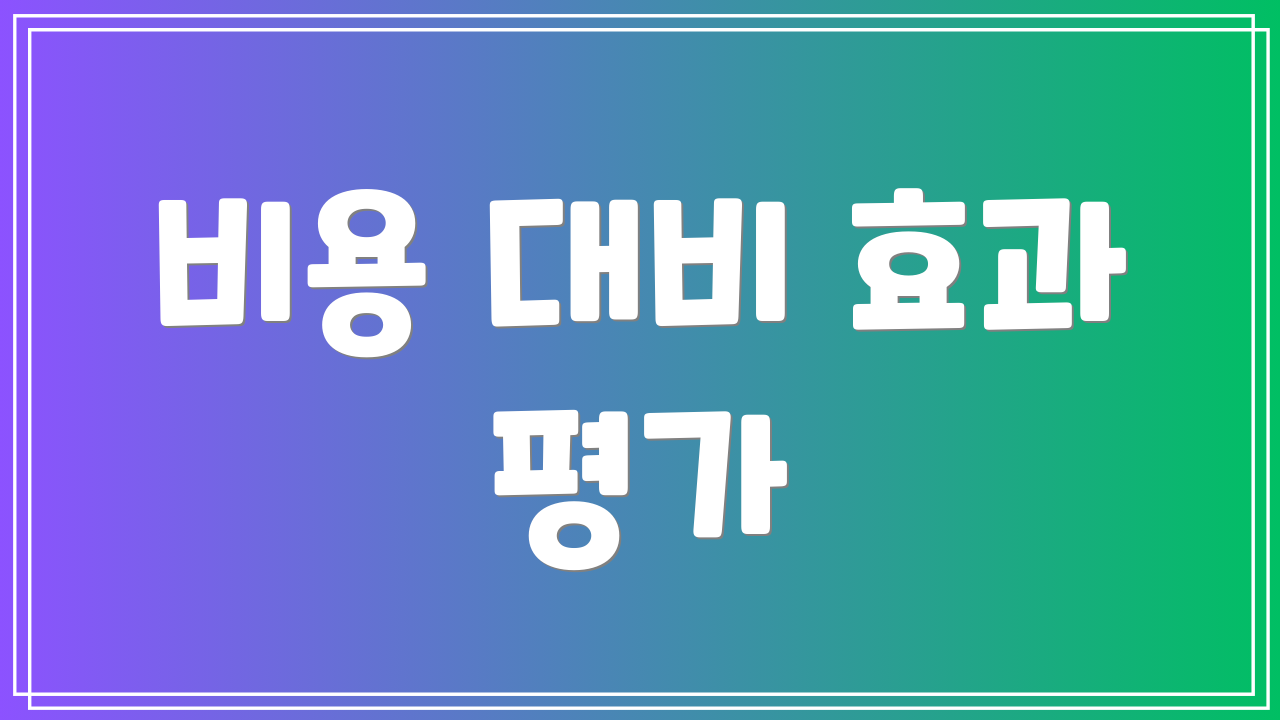 비용 대비 효과 평가