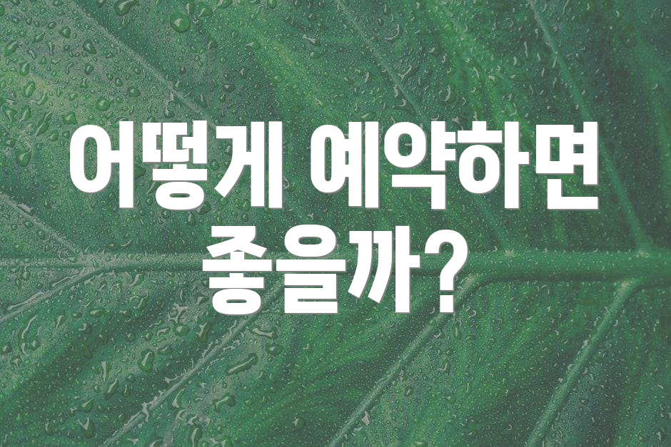 어떻게 예약하면 좋을까?