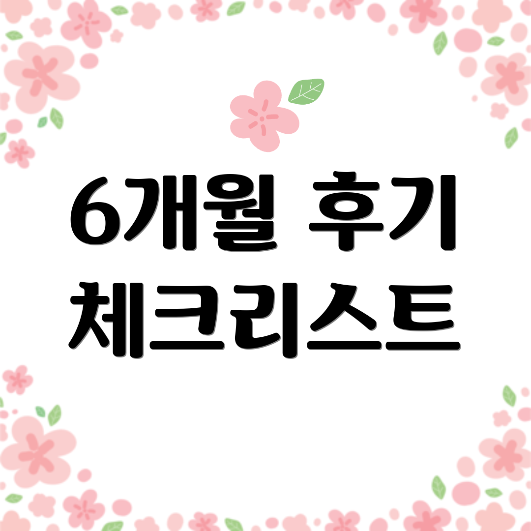 6개월 후기 체크리스트