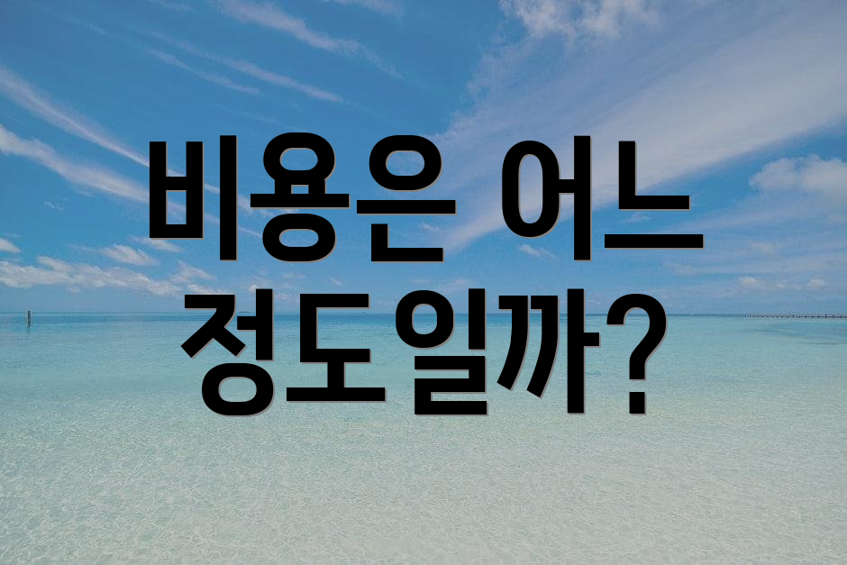 비용은 어느 정도일까?