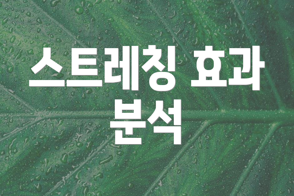스트레칭 효과 분석