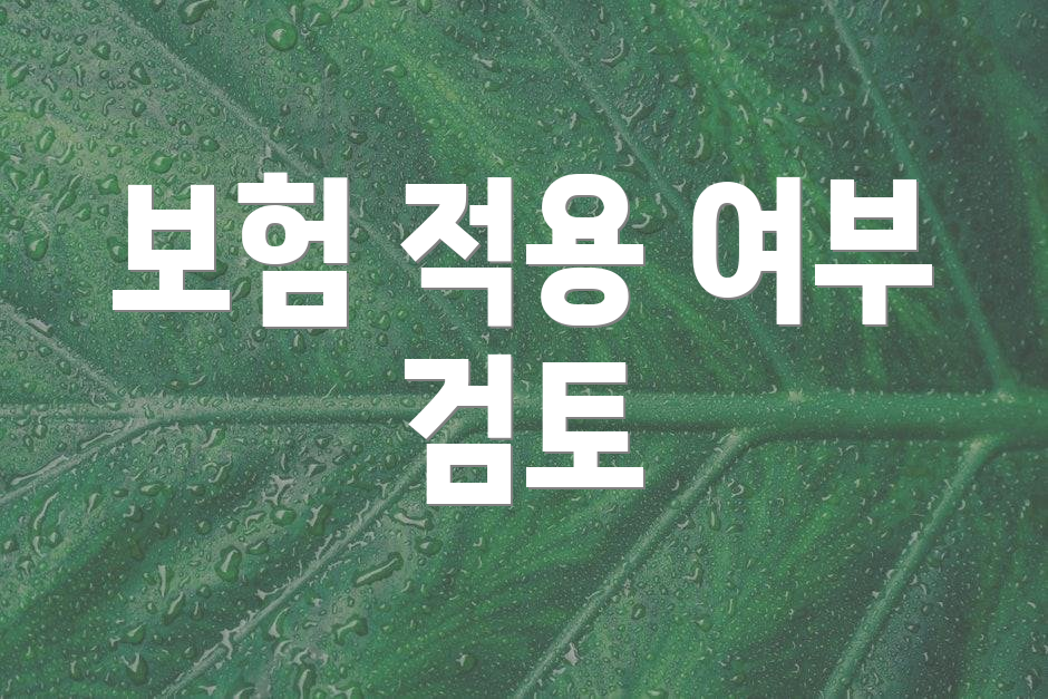 보험 적용 여부 검토