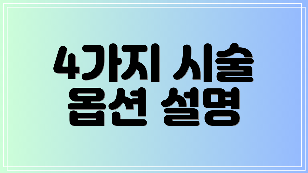 4가지 시술 옵션 설명