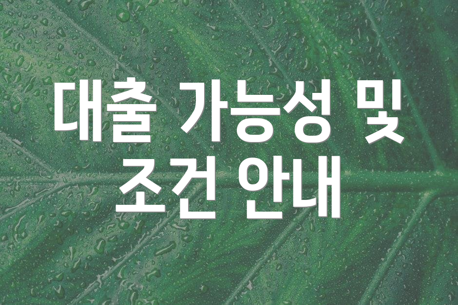 대출 가능성 및 조건 안내