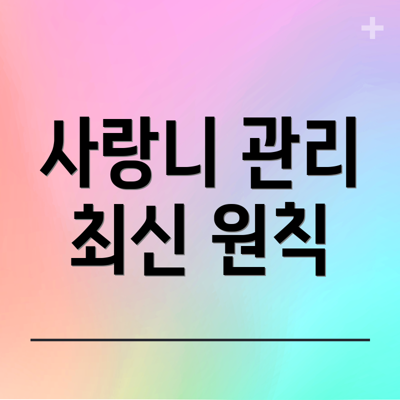 사랑니 관리 최신 원칙