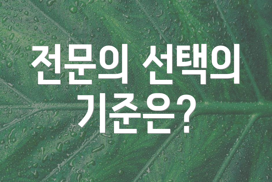 전문의 선택의 기준은?
