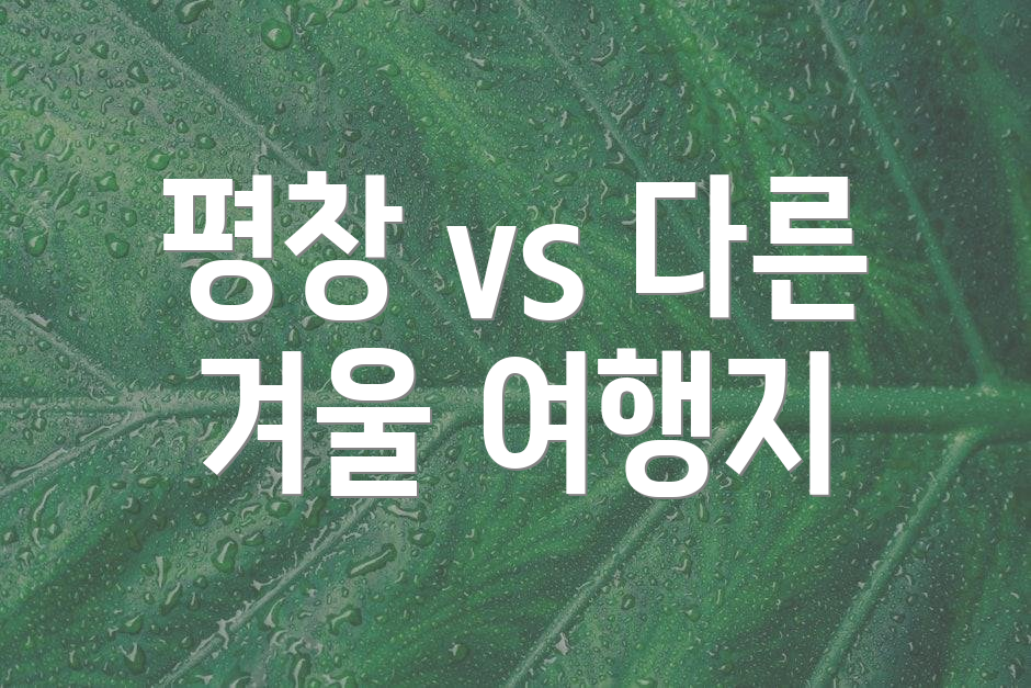 평창 vs 다른 겨울 여행지