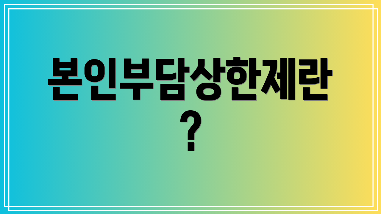 본인부담상한제란?