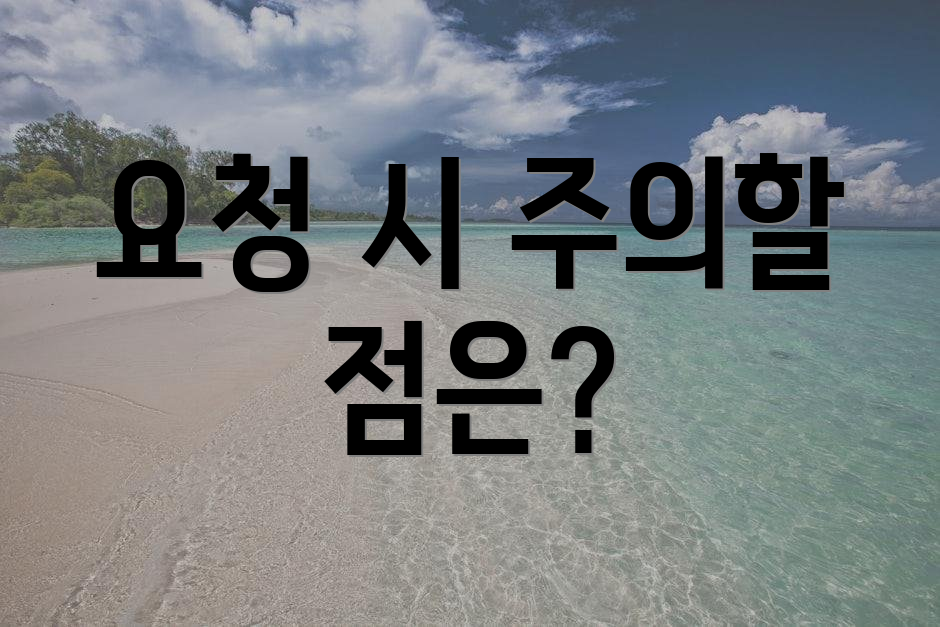 요청 시 주의할 점은?