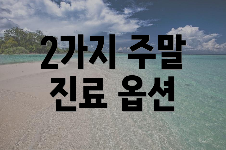 2가지 주말 진료 옵션