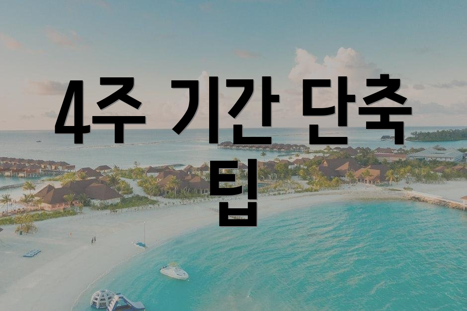 4주 기간 단축 팁