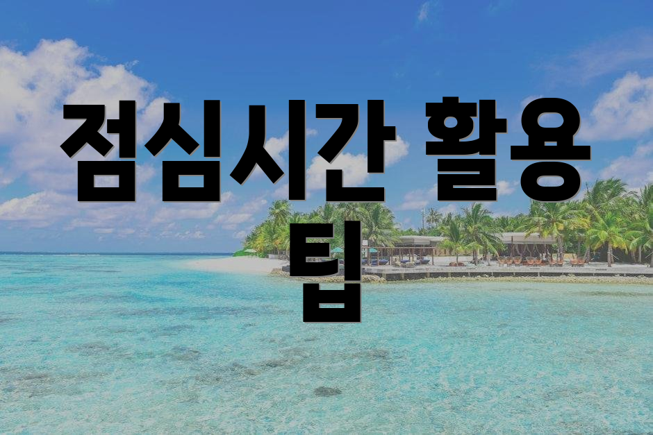 점심시간 활용 팁