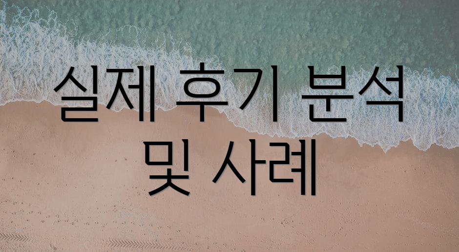 실제 후기 분석 및 사례