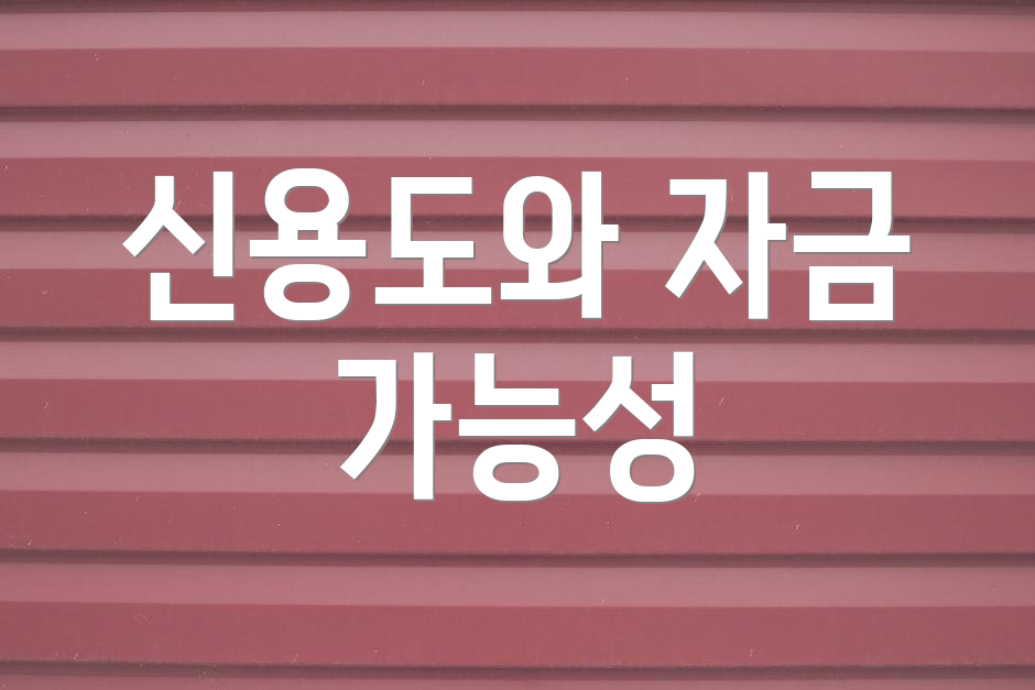 신용도와 자금 가능성