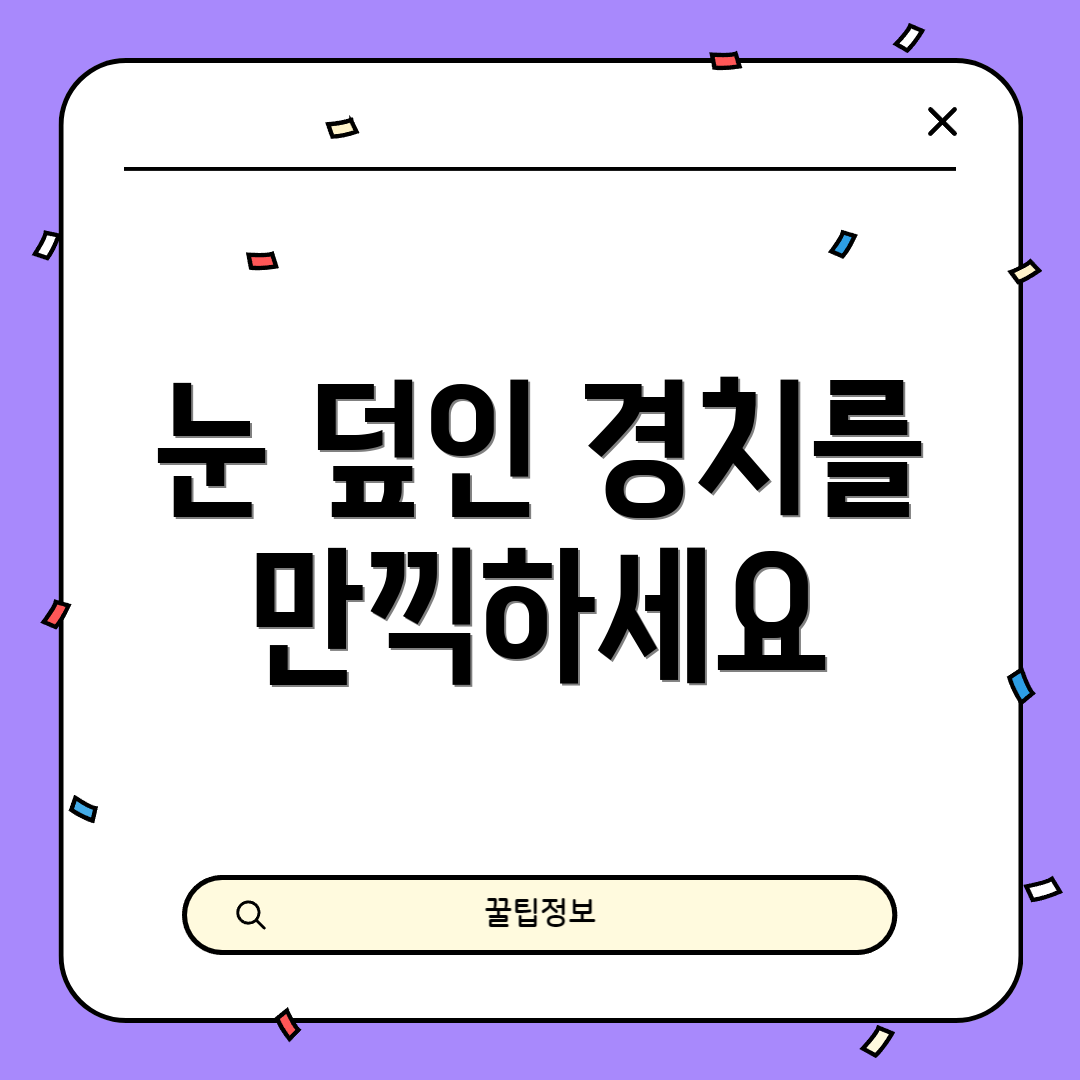 눈 덮인 경치를 만끽하세요