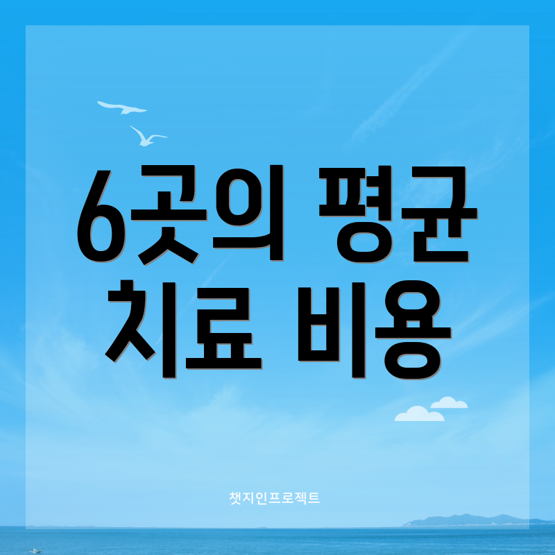 6곳의 평균 치료 비용