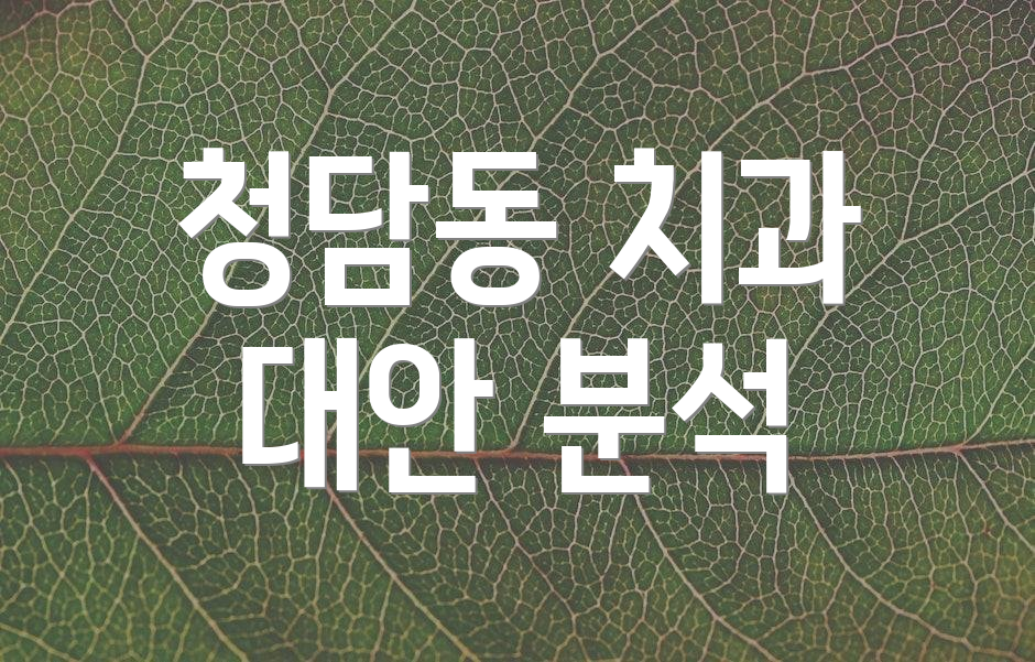 청담동 치과 대안 분석