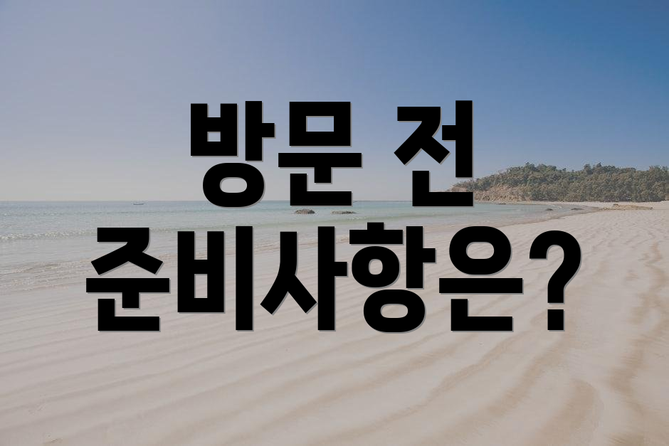 방문 전 준비사항은?