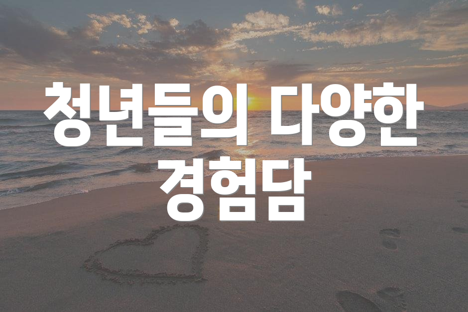 청년들의 다양한 경험담