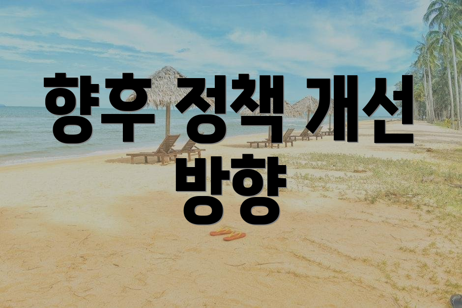 향후 정책 개선 방향