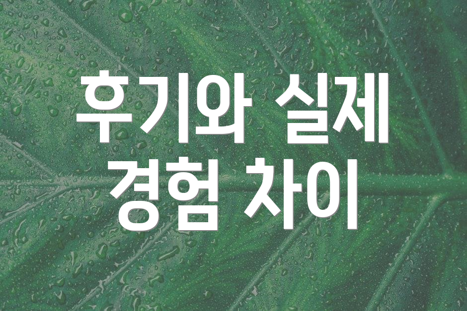 후기와 실제 경험 차이