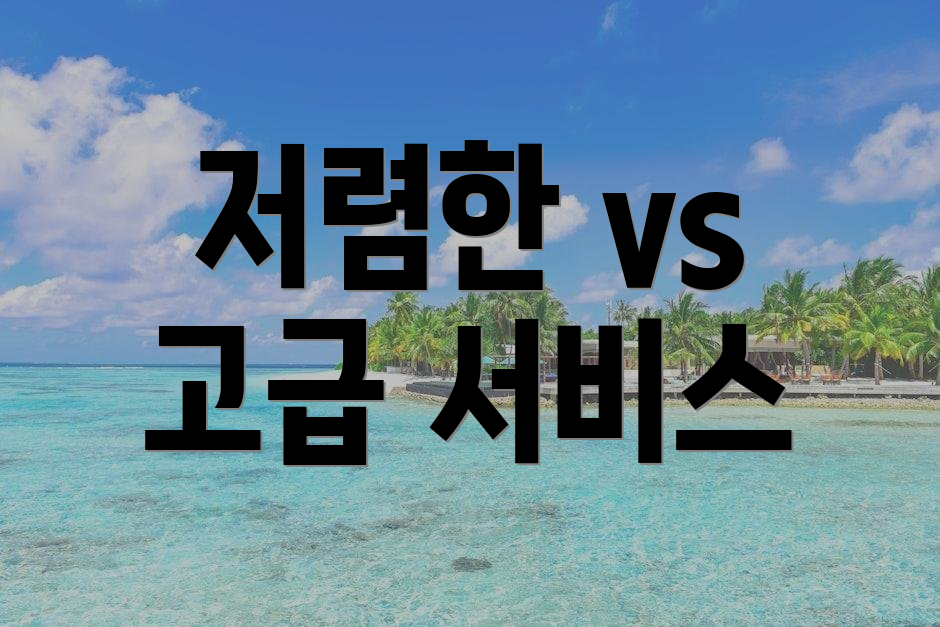 저렴한 vs 고급 서비스